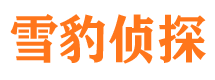 象山市私人调查